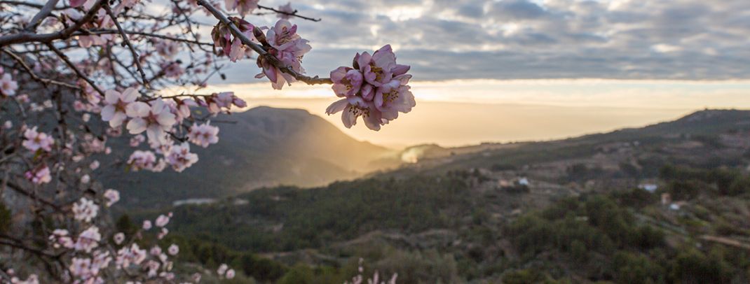 Mallorca