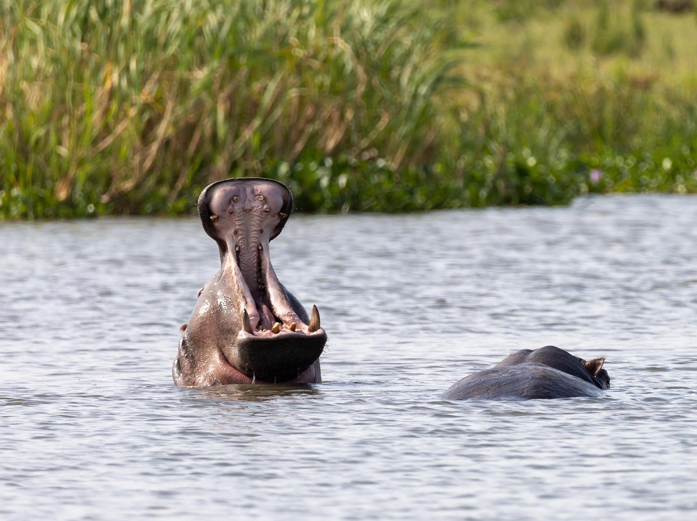 Begleitete Gruppe Reisebuero Wolter Karibu 2026