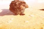 original IMG 2759