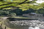 original IMG 0640