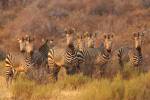 original pixabay namibia 1
