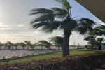 original IMG 6586
