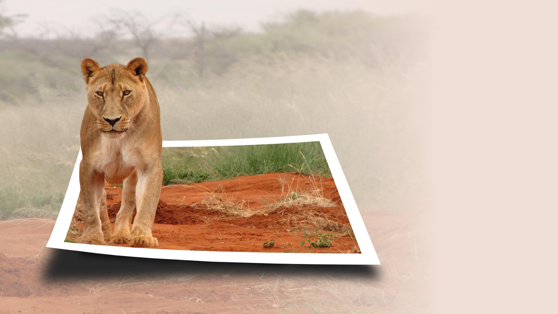 Wir-sind-fuer-Sie-da