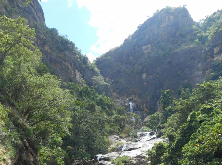 Sri Lanka - Elefanten, Tee und eine Menge Rupien