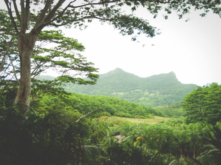 Mauritius - Schatzinsel im indischen Ozean