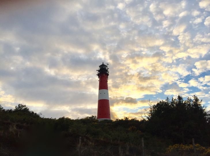 Urlaub mit Hund auf Sylt in der Nebensaison