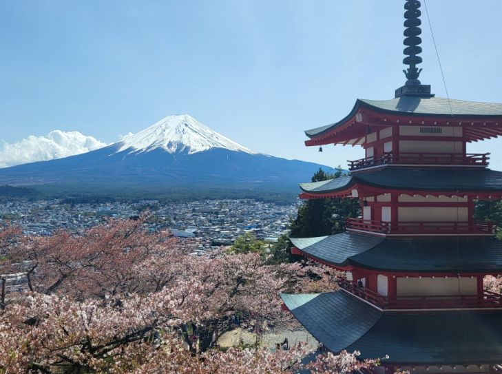 Ramen, Tempel, Großstadtflair: Mein Japan-Abenteuer