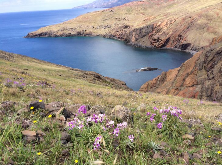 Madeira - die Blumeninsel