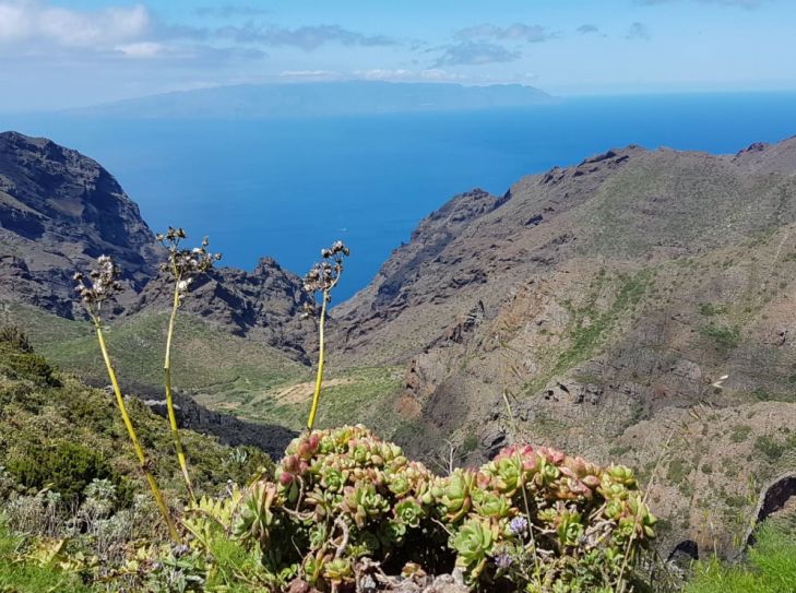 Teneriffa - abwechslungsreiche Insel der Kanaren