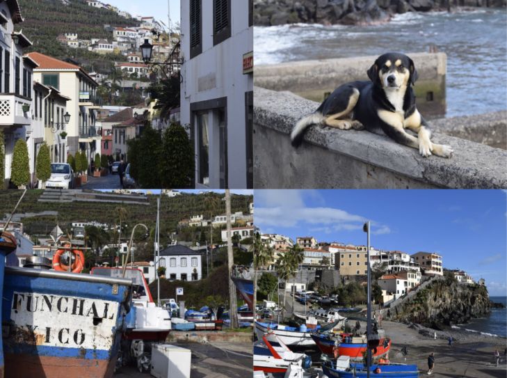 Madeira - Die Insel des ewigen Frühlings