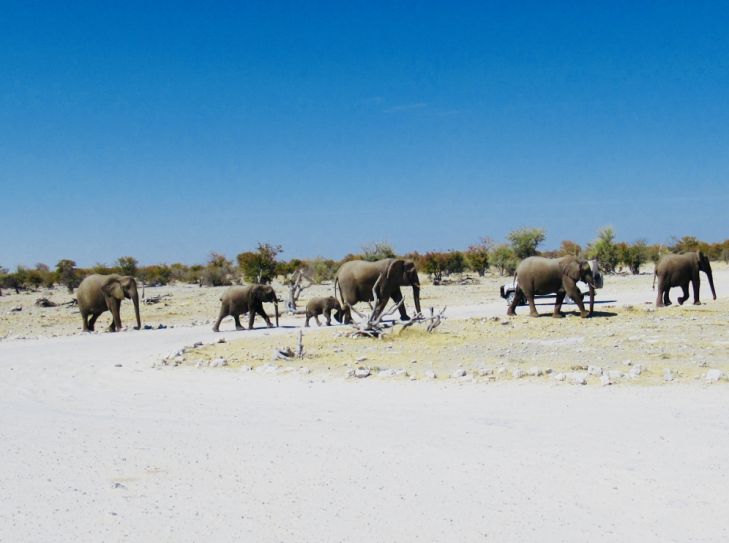 Namibia - Wanderrundreise in Afrika