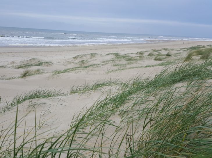 Texel - Erholung pur im Naturparadies