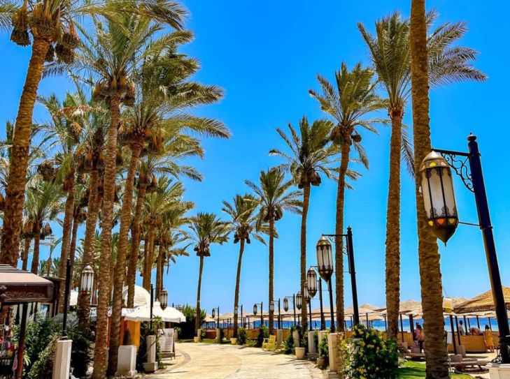 Ein Urlaub an der Makadi Bay.- oder: wie ich die ETI-Hotels erlebte