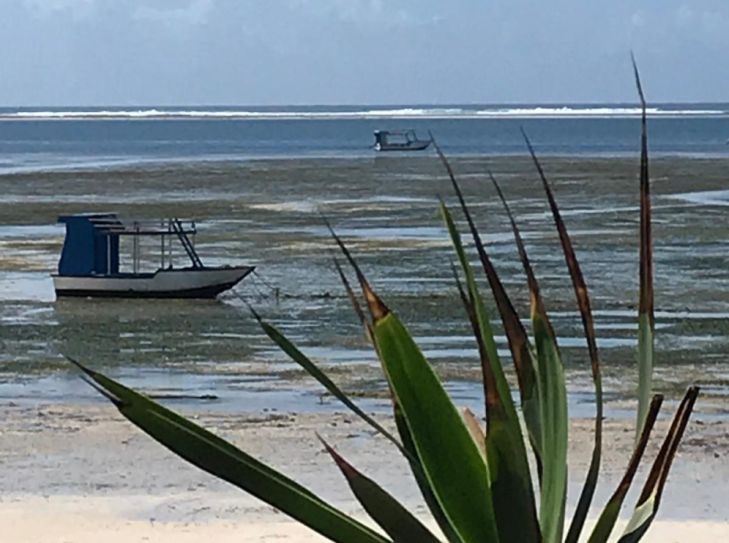 Traumreise nach Sri Lanka: Die Perle im Indischen Ozean