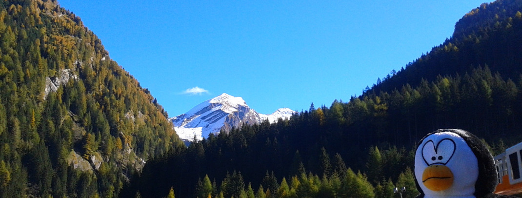 brenner