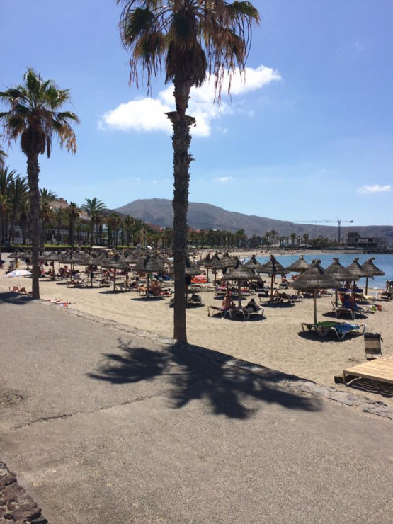 original 13343105 10153427798296566 2596316369167986722 n