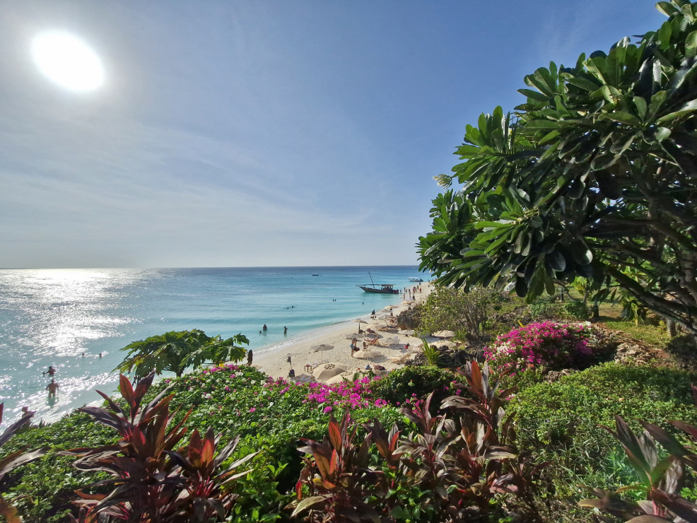 original 20230304 164556