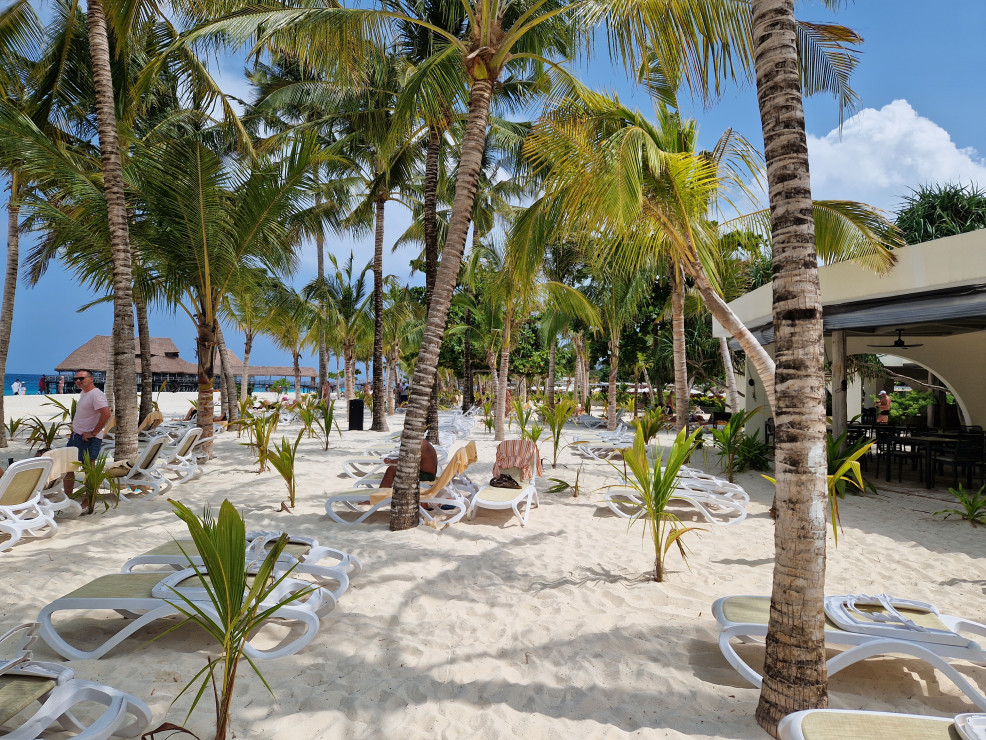 original 20230226 103405