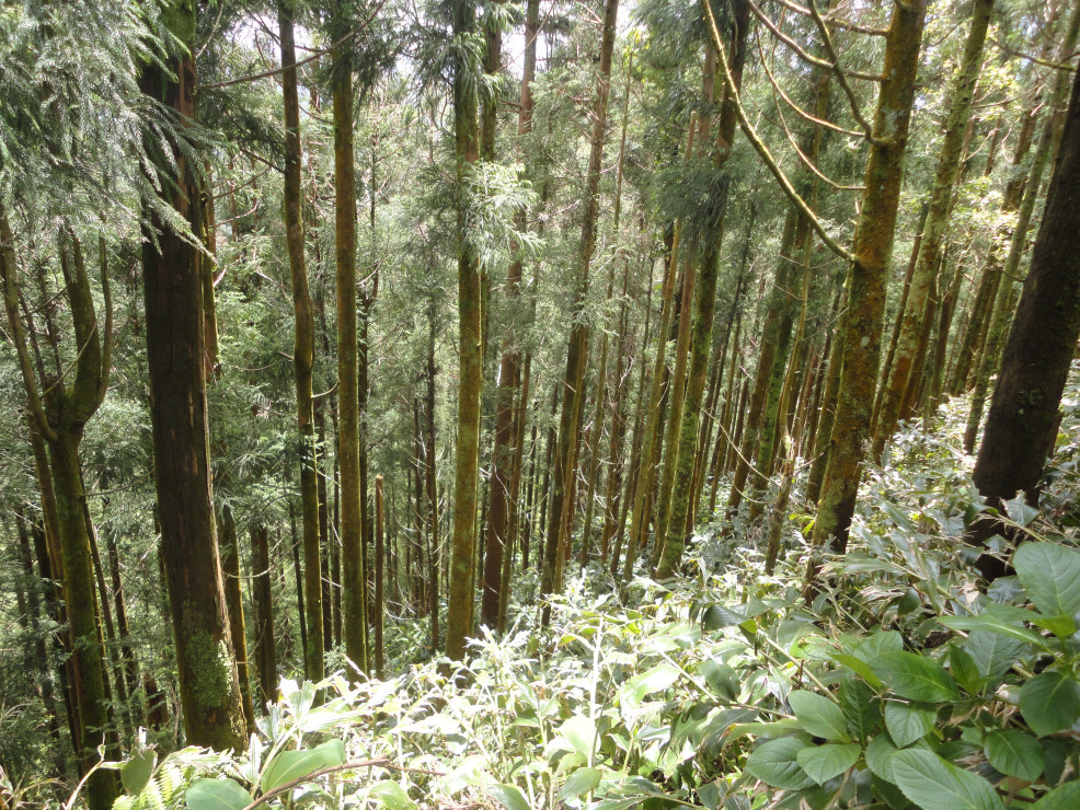 original Wanderung Lagoa Cete Cidades 5 