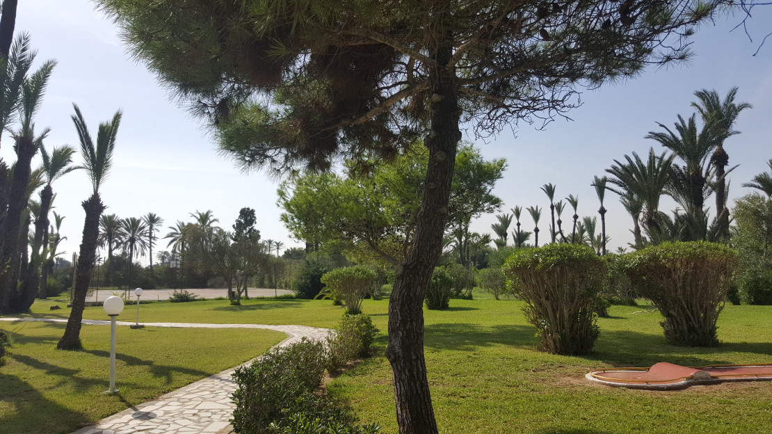 original 20181012 095625