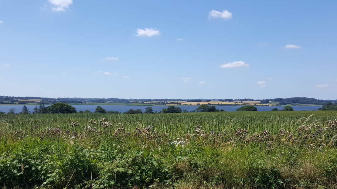 original 20190723 133627