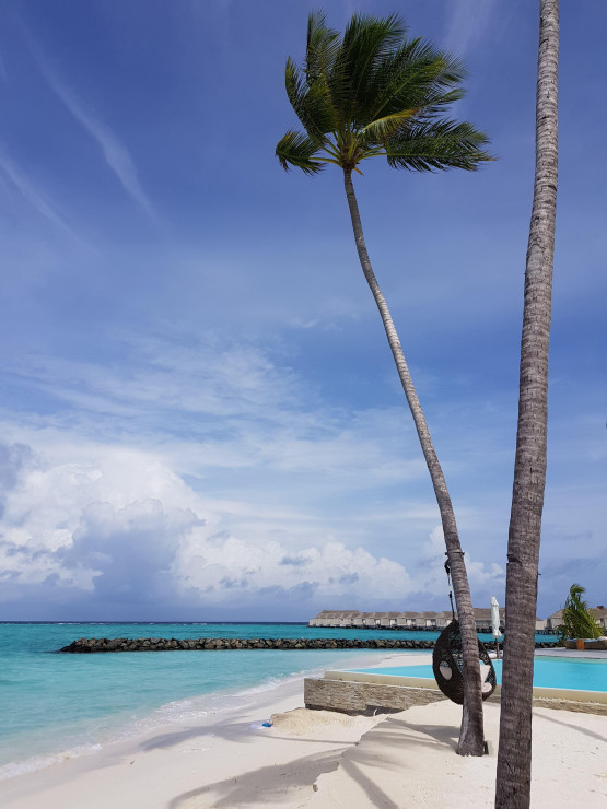 original 20210927 065215