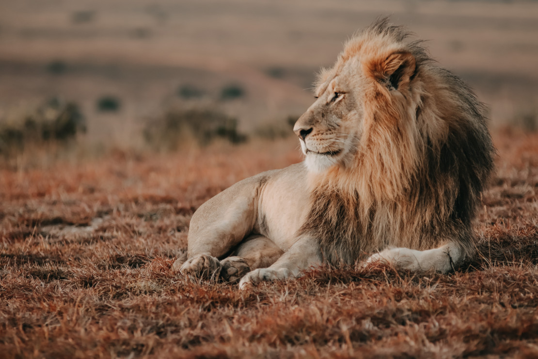 original Foto 08 05 23 06 42 25