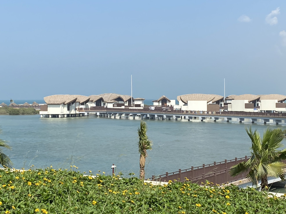 original IMG 0684