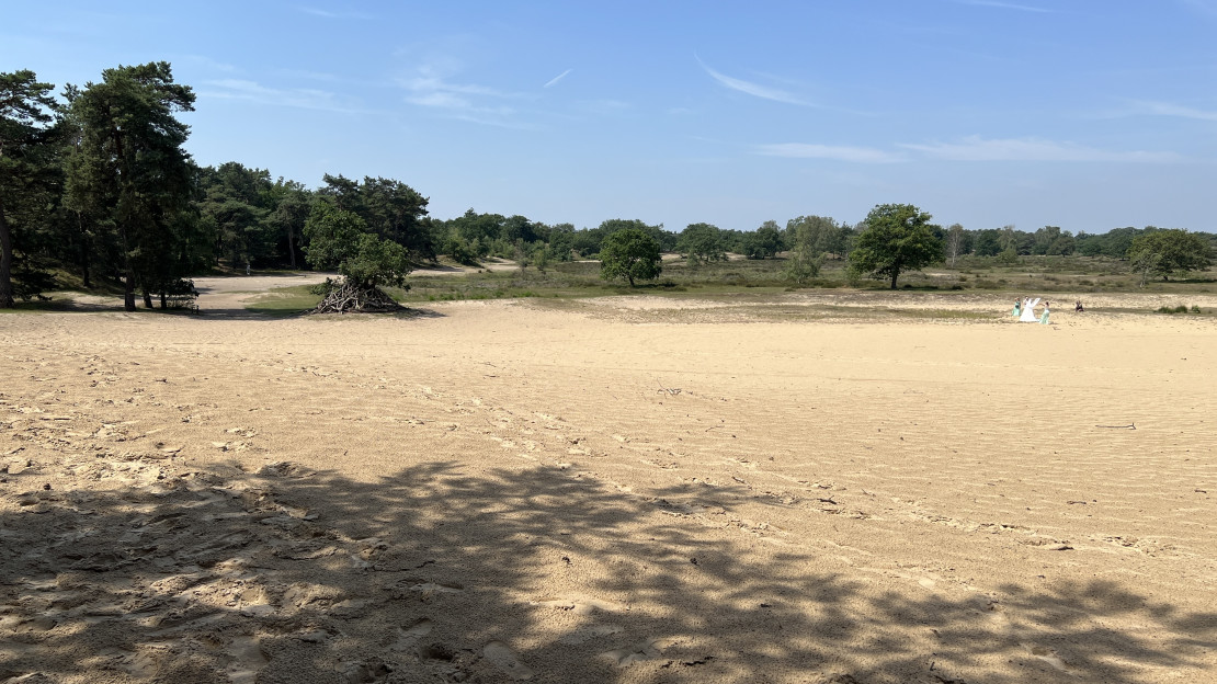original 55 Loonse Drunense Duinen