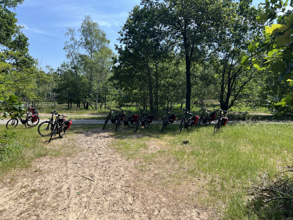 original 56 Loonse Drunense Duinen