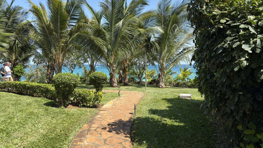 original 15- RIU Palace Zanzibar
