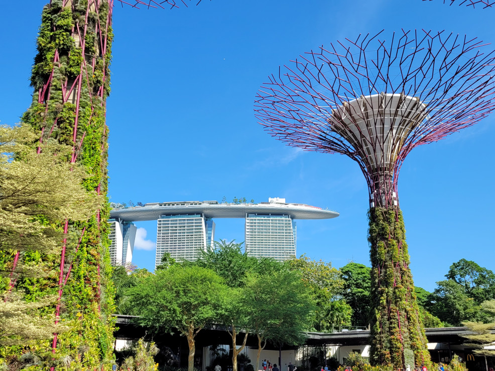 original 20250506 100439