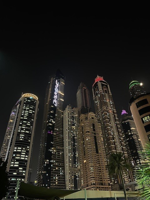 original Skyline 5