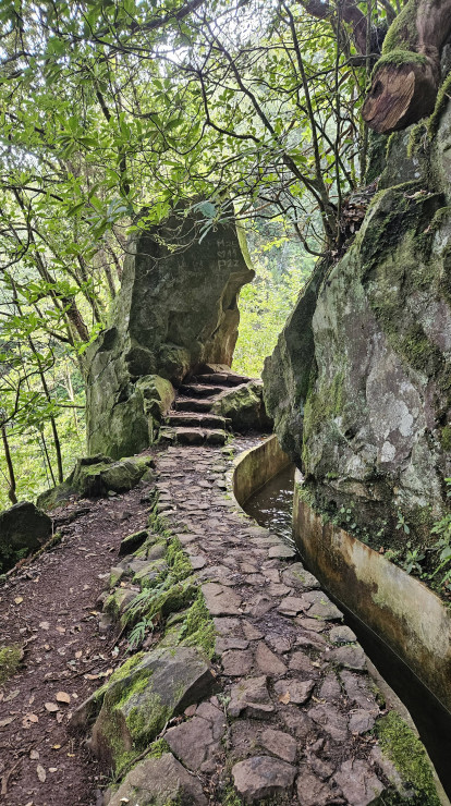 original 20250416 111656-min