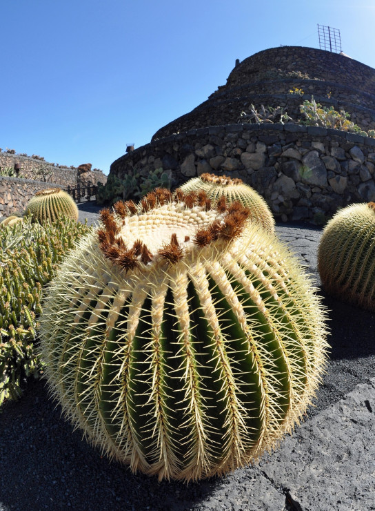 original pixabay lanzarote