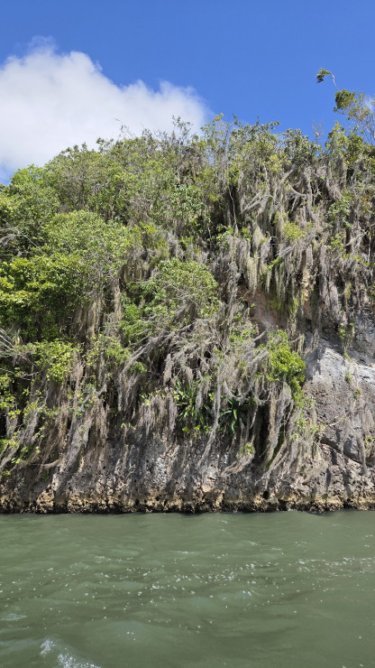 original 20260315 105848