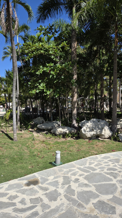 original 20260312 101925