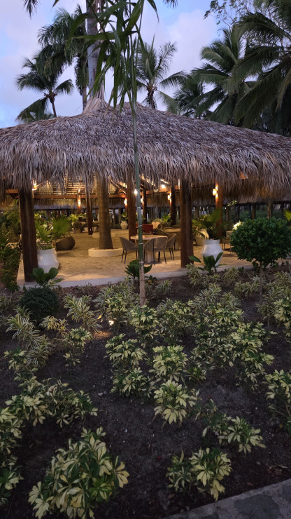 original 20260315 062519