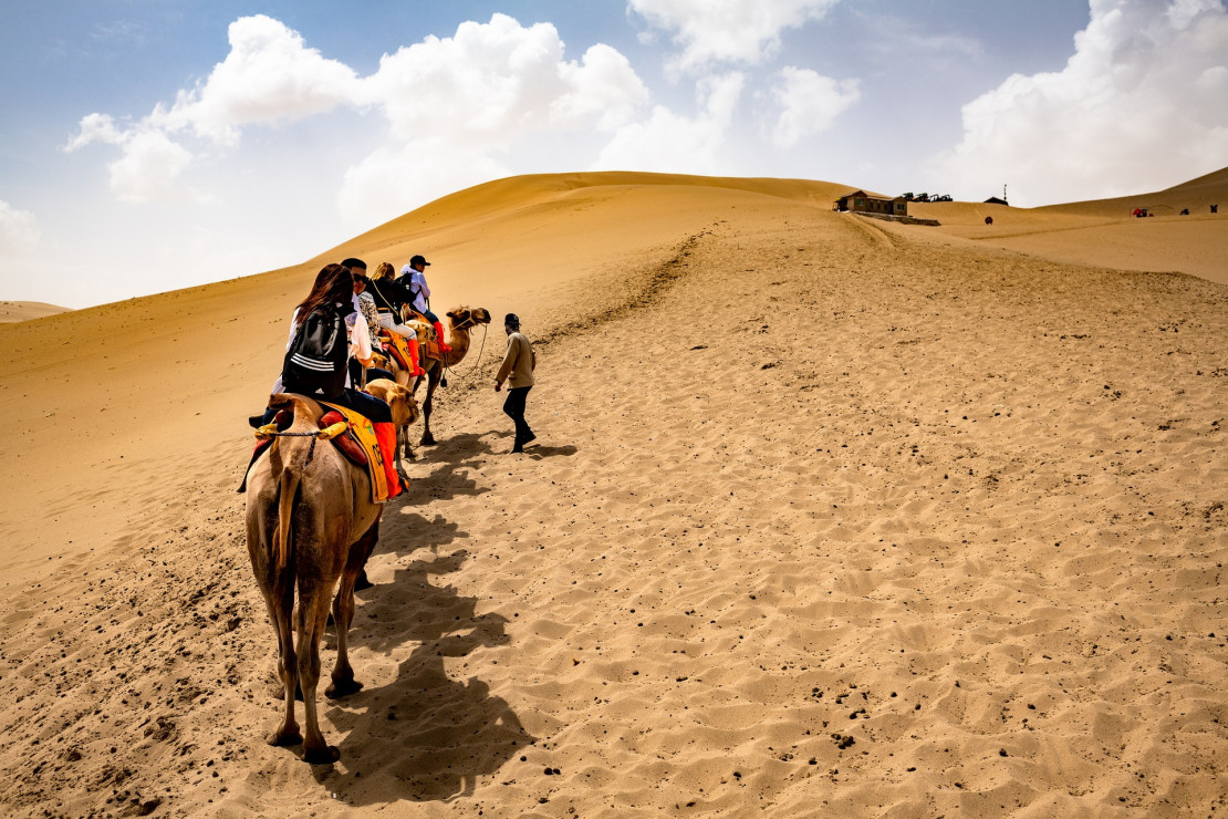 original pixabay kamelritt