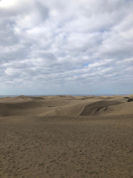 original WhatsApp Image 2023-06-24 at 19 07 24 6