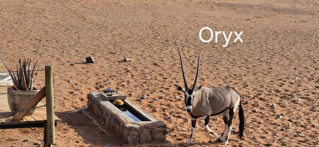 original 20251207 080056