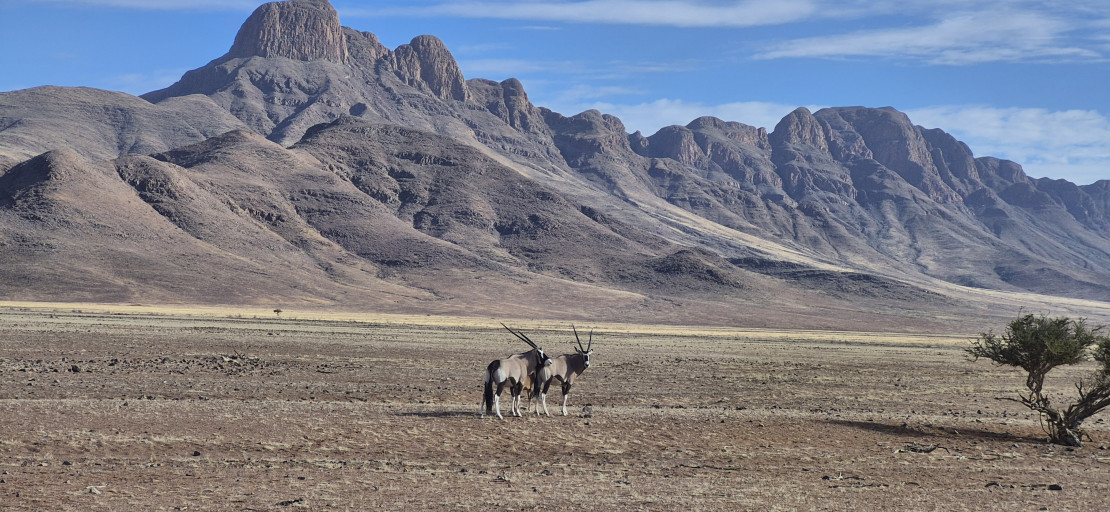 original 20251207 082305