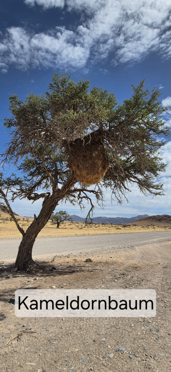 original 20251207 094258