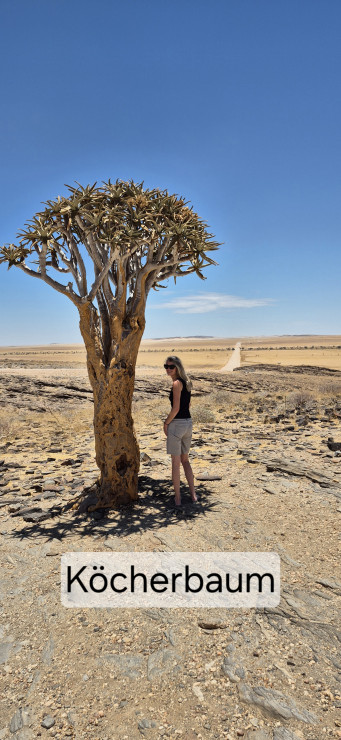 original 20251207 124316