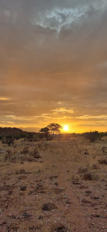 original 20251208 192151