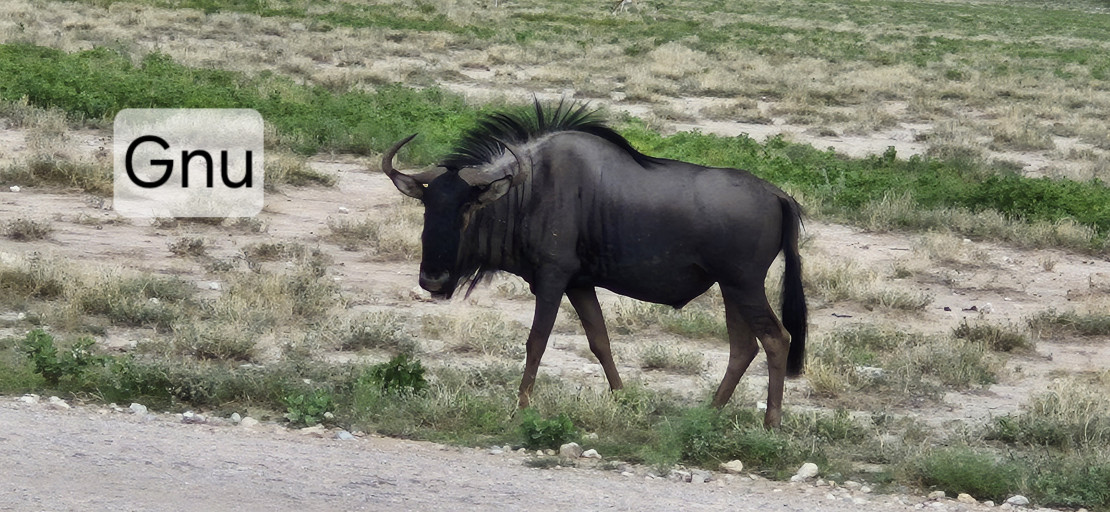 original 20251210 081403