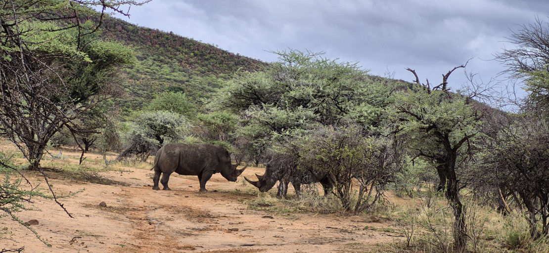 original 20251211 175013