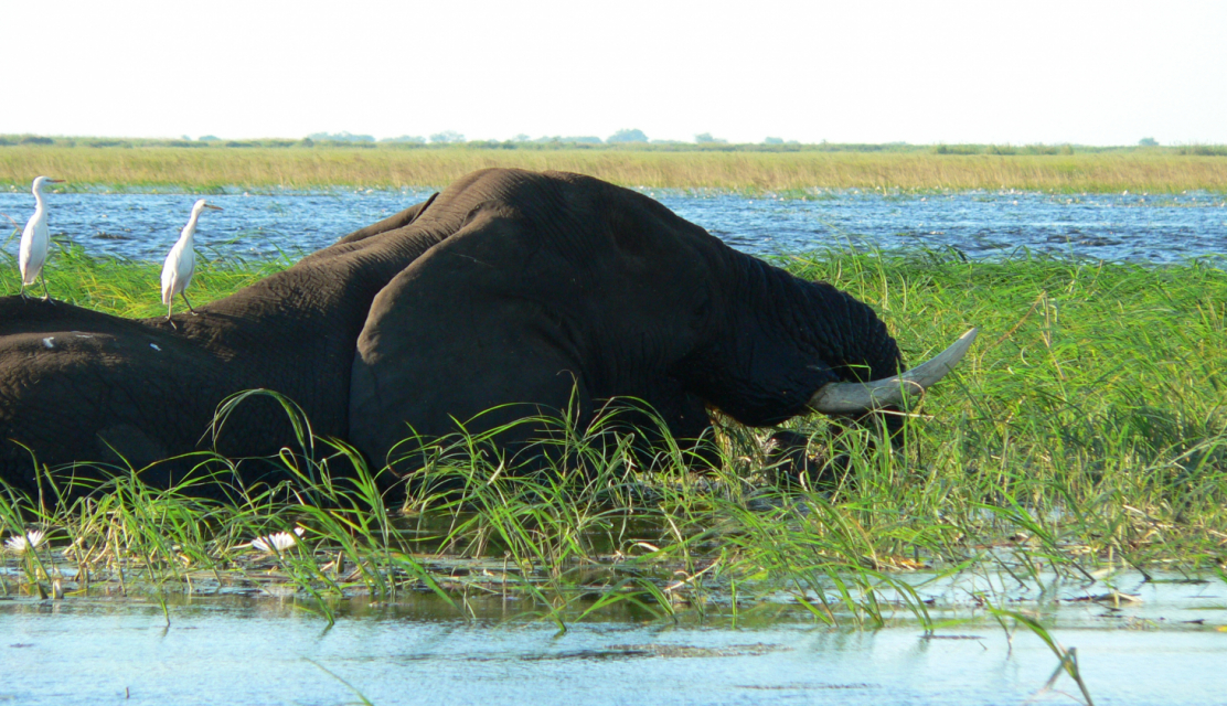 Namibia