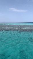 original IMG 7385