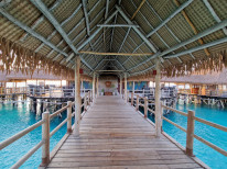 original 20230225 180701